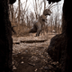 Image for article titled Michigan's Abandoned Dinosaur Amusement Park Is Way Creepy